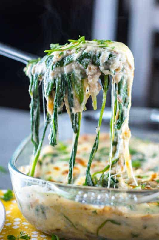 Cauliflower creamed spinach in a glass baking dish being scooped with a spoon.