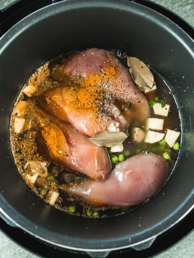 Top shot of chicken noodle soup ingredients in an instant pot. Raw vegetables, chicken and spices and chicken broth.