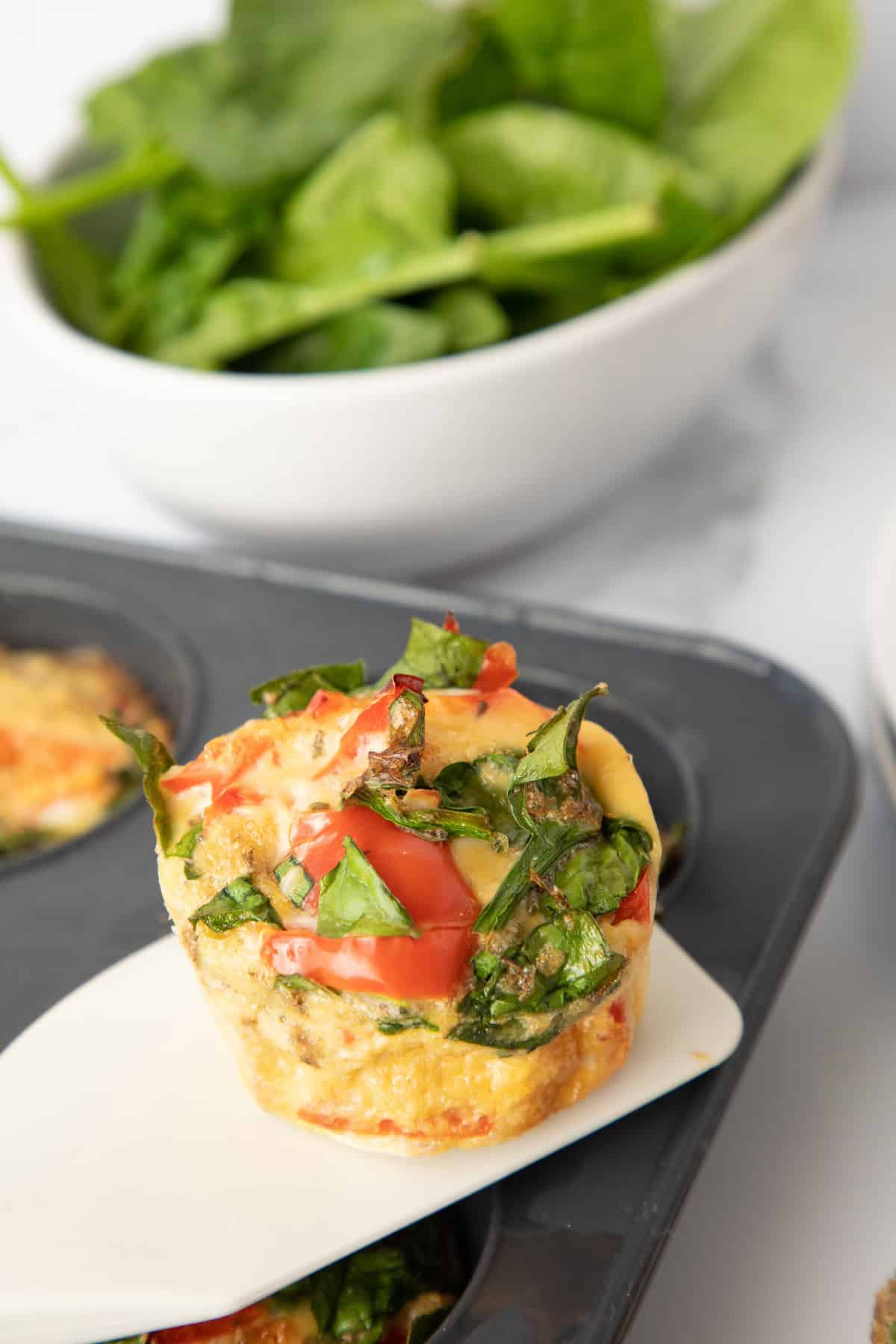 Egg muffin with spinach and tomato on a spatula, with fresh spinach in a bowl behind.