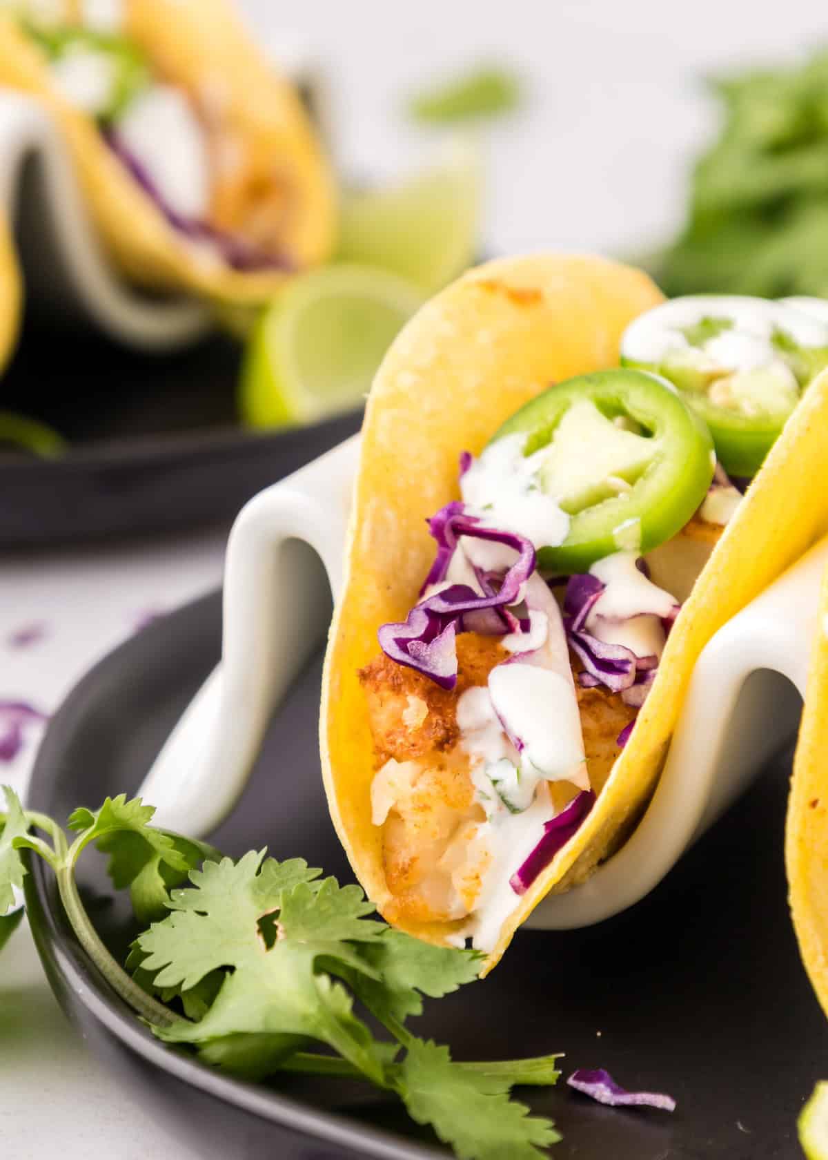 A fish taco with jalapeños, purple cabbage, and cilantro on a black plate.