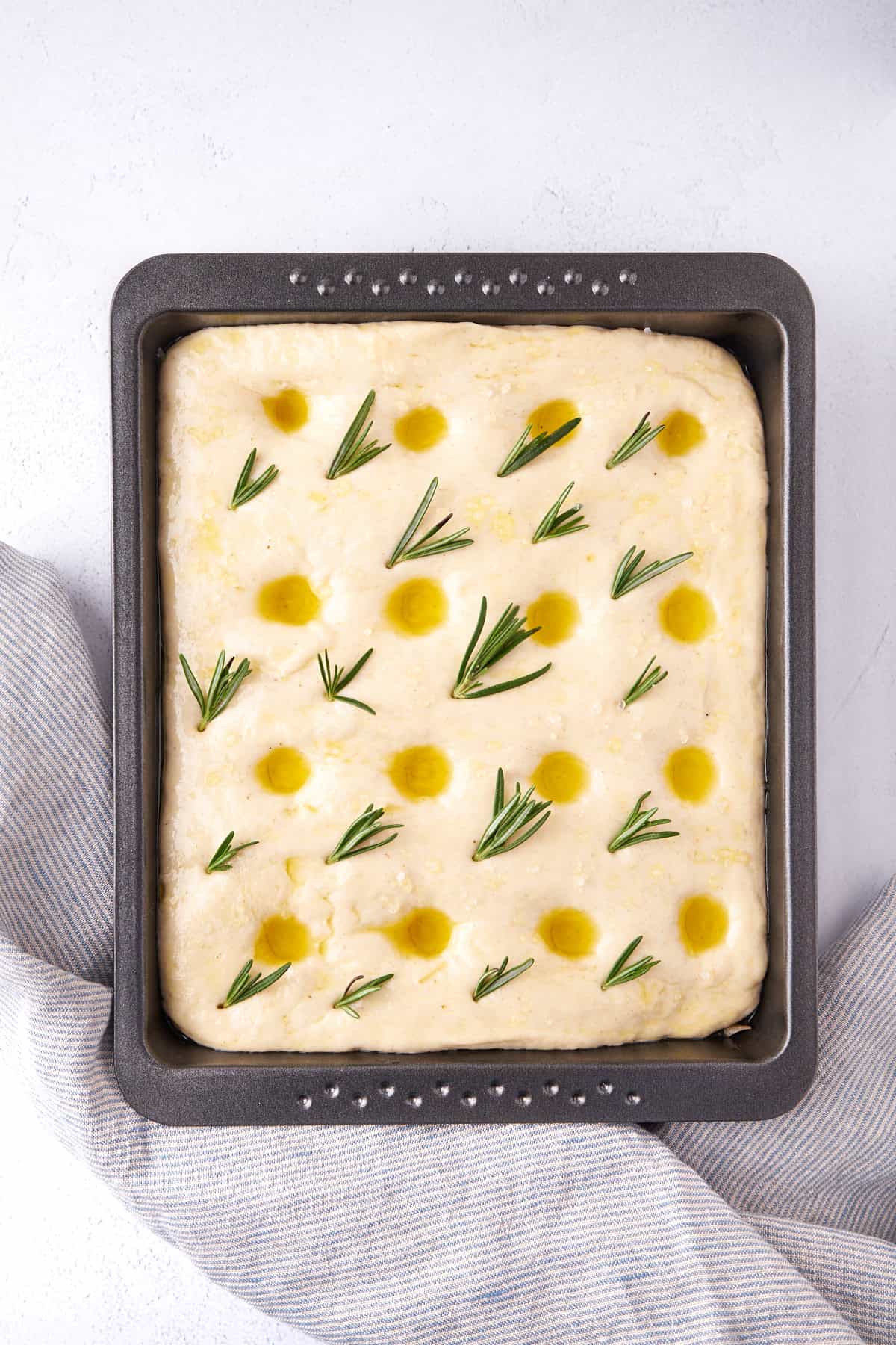 Unbaked focaccia dough in a pan with olive oil and rosemary sprigs on top.