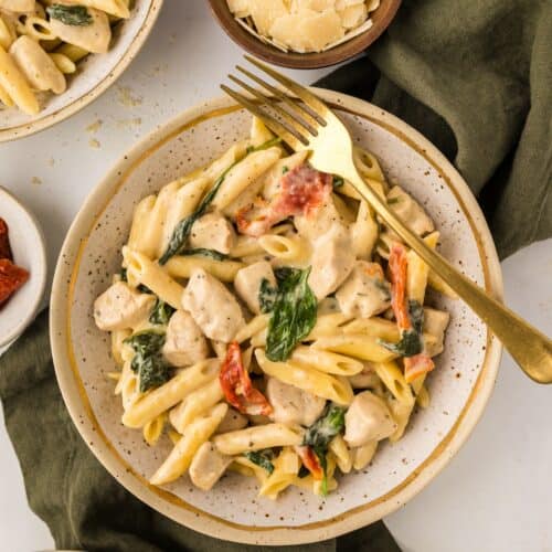 Plate of creamy penne pasta with chicken, spinach, sun-dried tomatoes, and a bowl of parmesan.