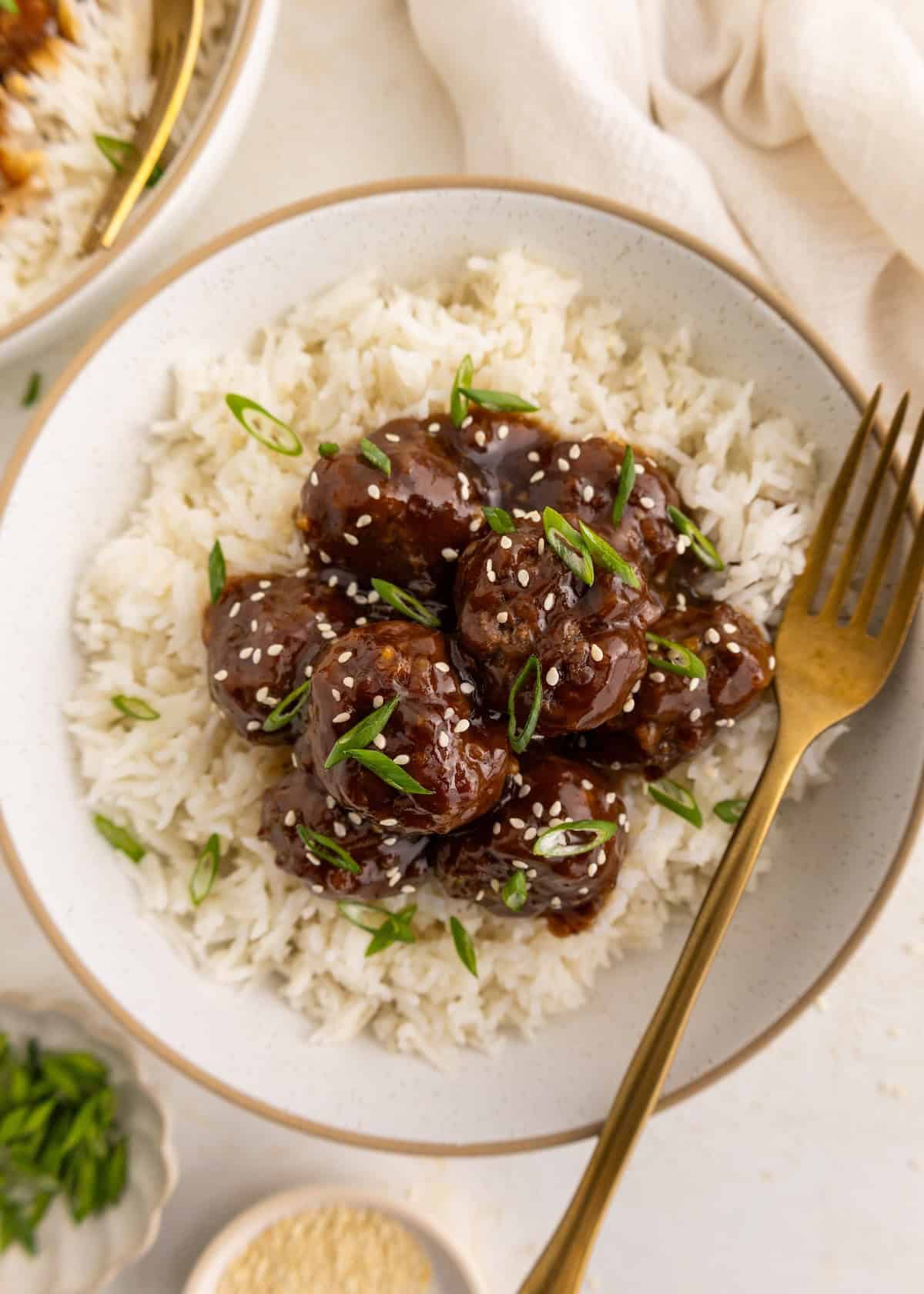 Meatballs in dark sauce over white rice, garnished with sesame seeds and green onions.