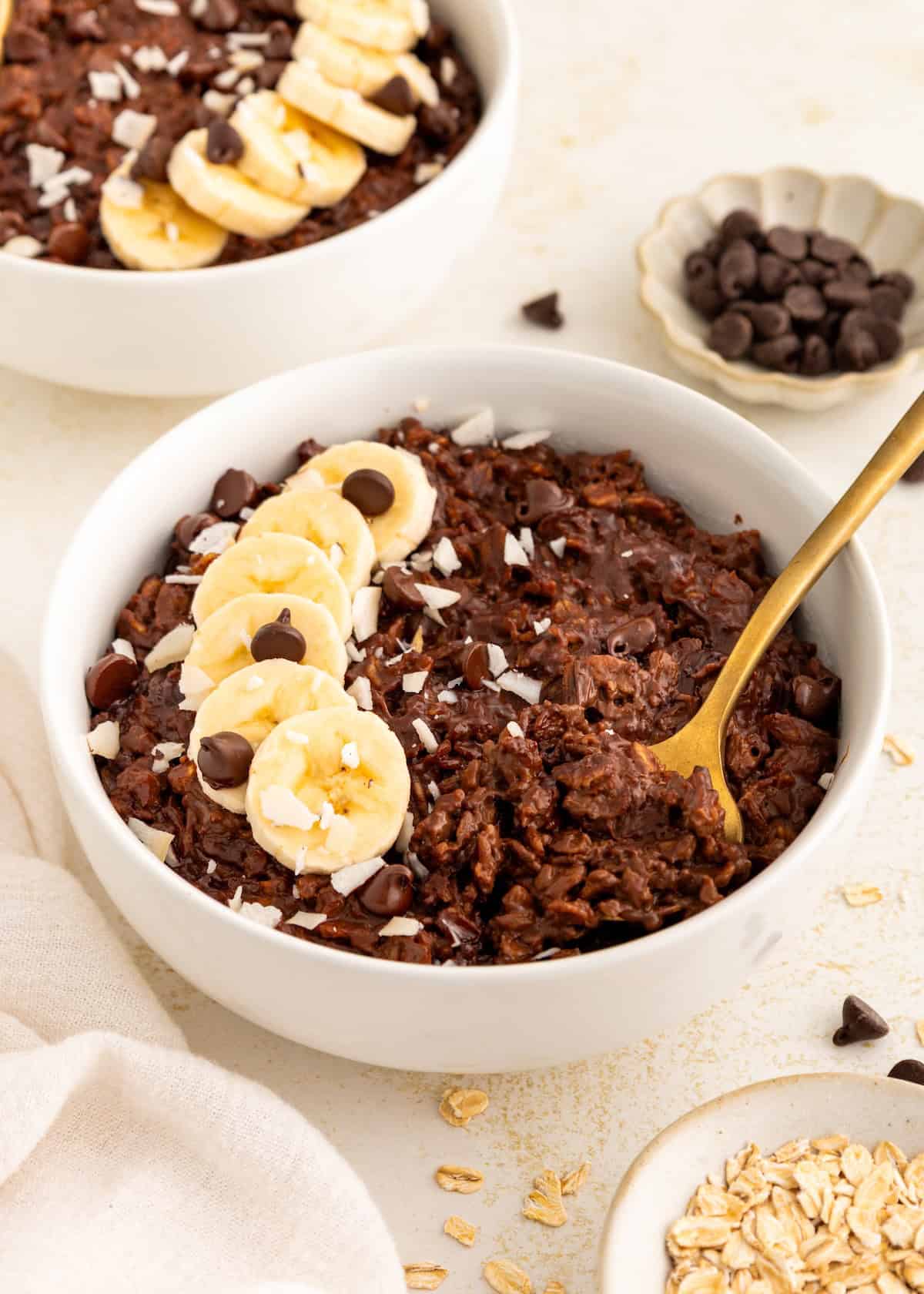 A bowl of chocolate oatmeal topped with banana slices, coconut flakes, and chocolate chips.