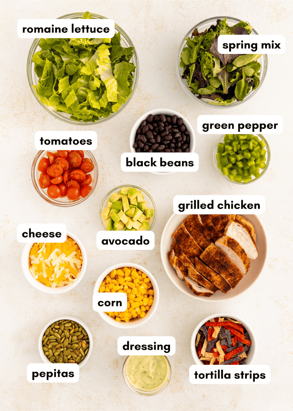 Ingredients for a salad, each labeled: lettuce, beans, chicken, cheese, veggies, dressing, more.