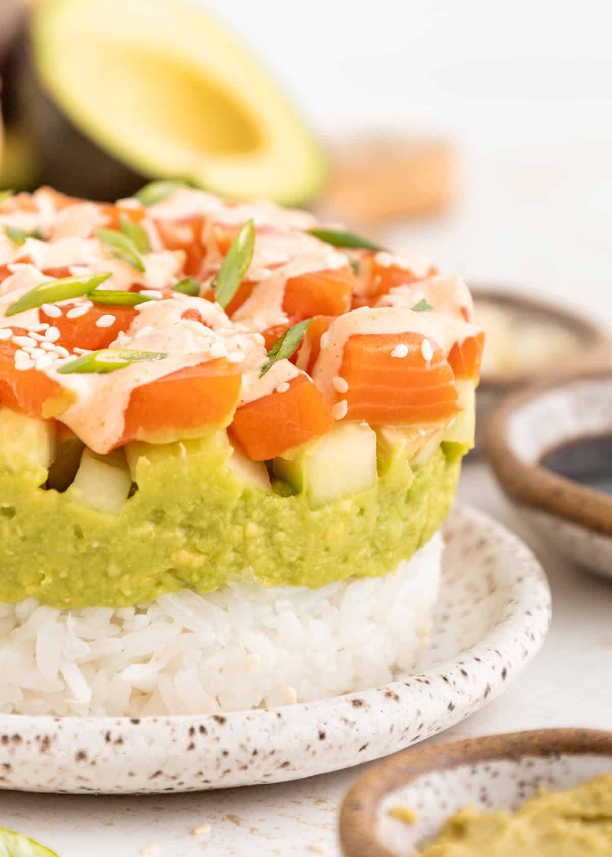 Sushi stacks with rice, avocado, salmon, green onions, and sesame seeds on a speckled plate.